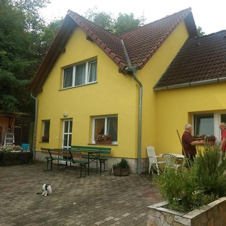 Foki Vendeghaz Villa Hidegseg ภายนอก รูปภาพ