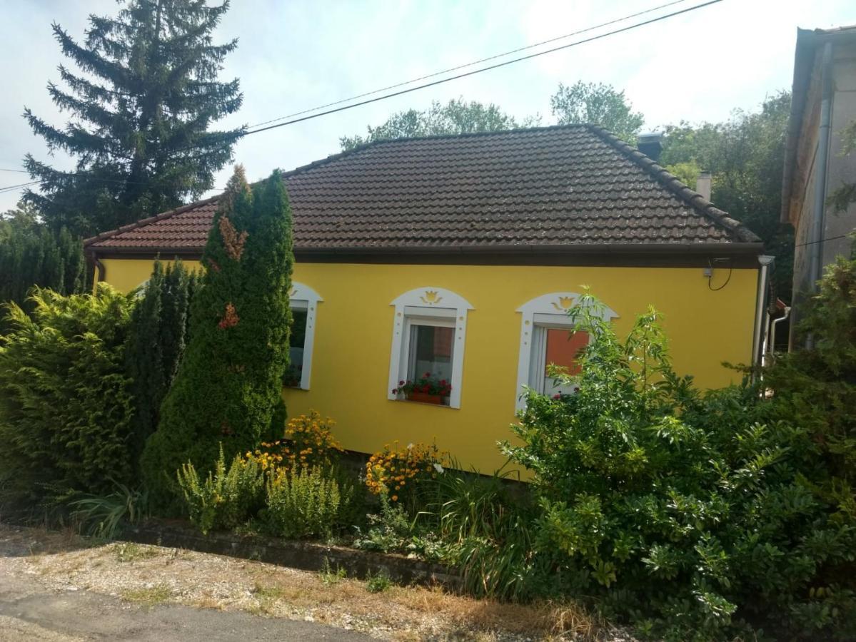 Foki Vendeghaz Villa Hidegseg ภายนอก รูปภาพ